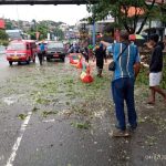 IMG-20250207-WA0185(1)